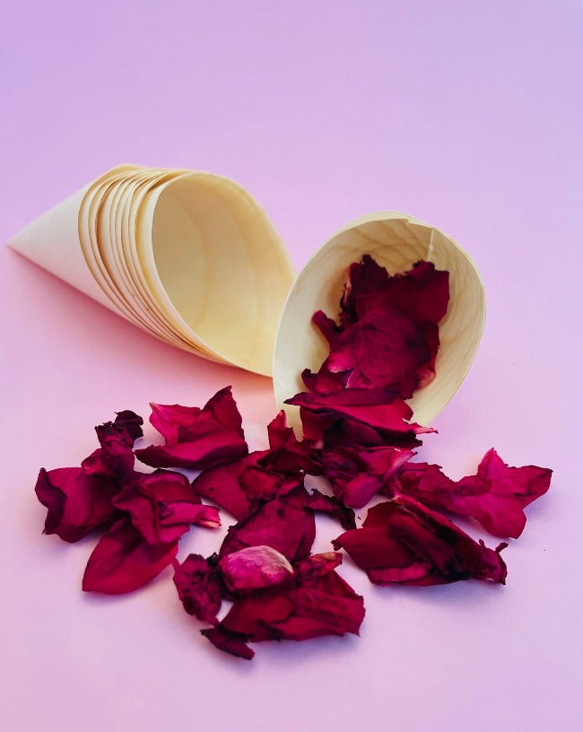 Confetti Cones with Rose Petal Confetti